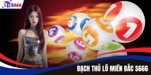 Bạch Thủ Lô Miền Bắc – Bí Quyết Soi Cầu Chuẩn Xác Tại S666