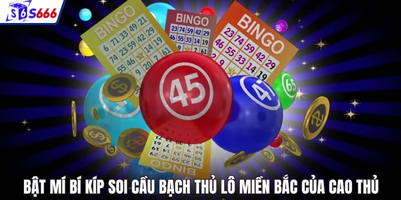 Bật mí bí kíp soi cầu bạch thủ lô miền Bắc của cao thủ