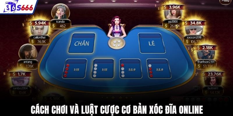 Cách chơi và luật cược cơ bản Xóc đĩa online