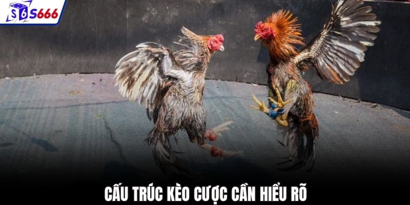 Cấu trúc kèo cược cần hiểu rõ