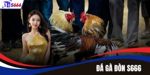 Đá Gà Đòn S666 – Bản Lĩnh Và Tinh Hoa Trong Từng Trận Đấu
