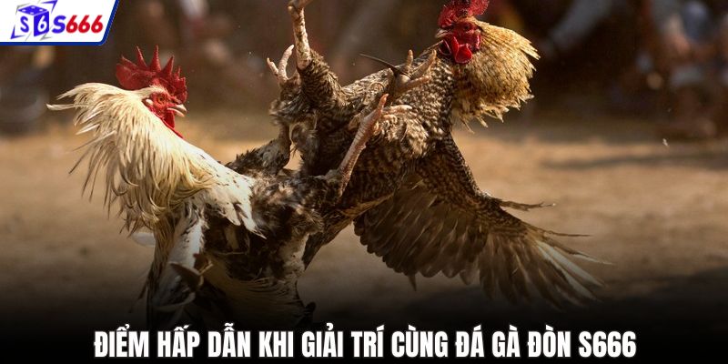 Điểm hấp dẫn khi giải trí cùng đá gà đòn S666
