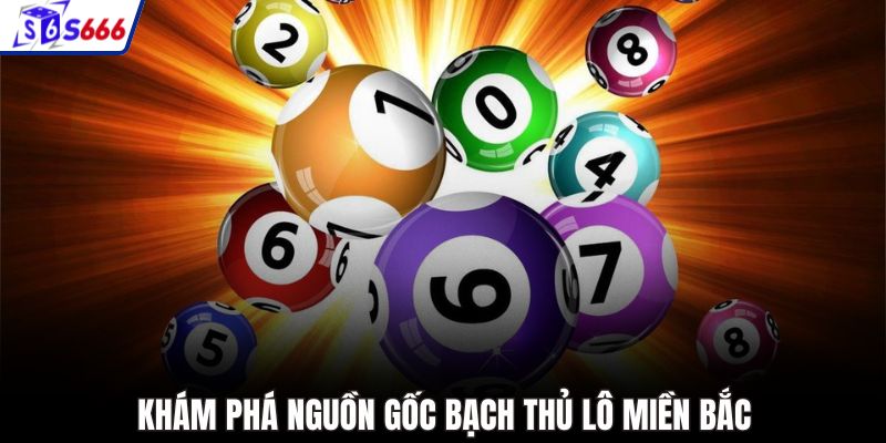 Khám phá nguồn gốc bạch thủ lô miền Bắc